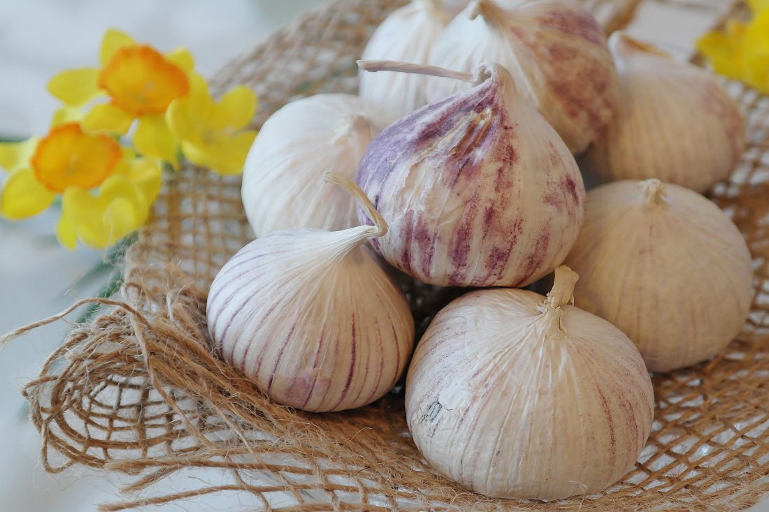 Free photo of Garlic Herb