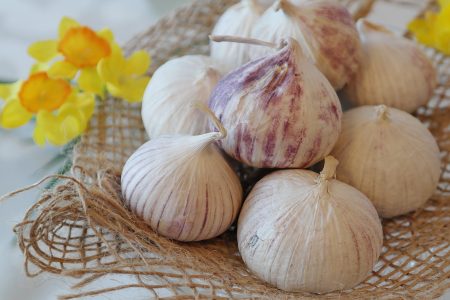 Garlic Herb Free Stock Photo