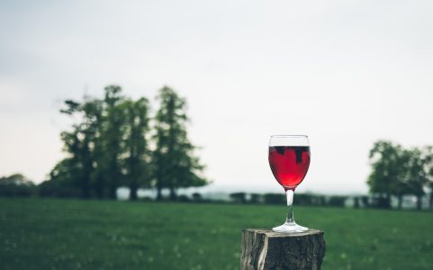 Glass Red Wine Free Stock Photo