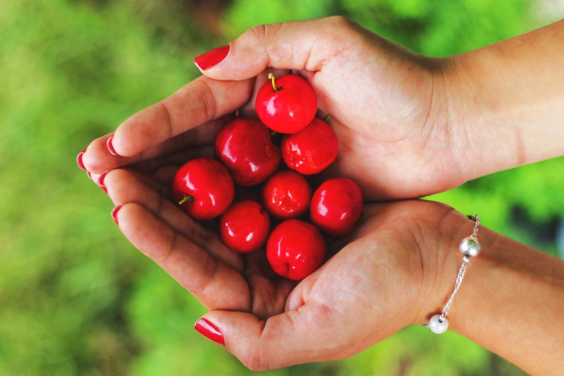 Free photo of Woman Holding Cherries