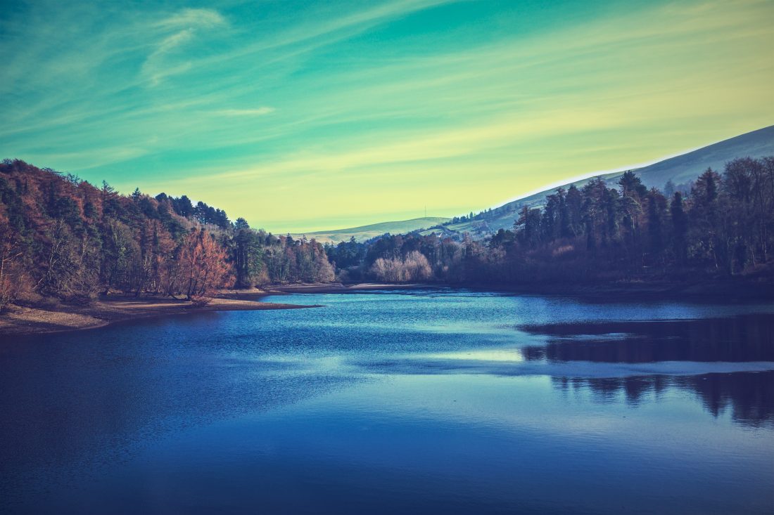 Free photo of A Lake In A Forest