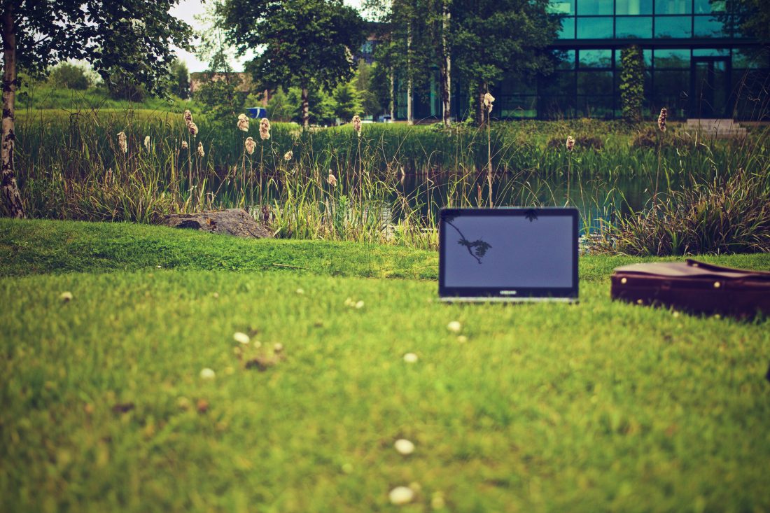 Free photo of Laptop Grass Green