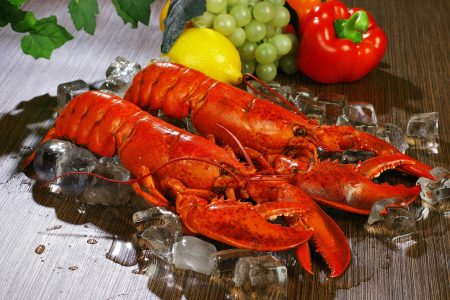 Fresh Lobsters Free Stock Photo