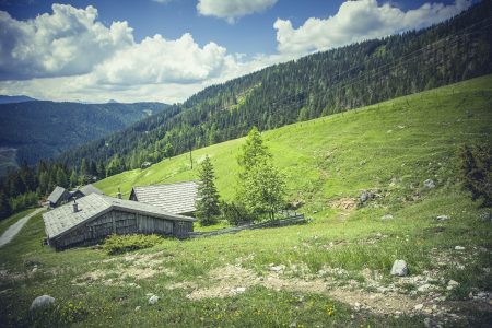 Log Cabin Mountain Forest Free Stock Photo