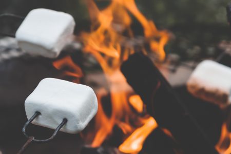 Marshmallows on Camp Fire Free Stock Photo