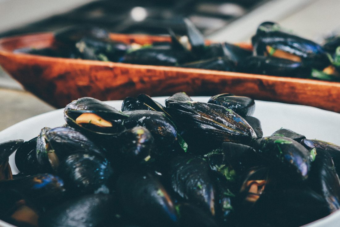 Free photo of Mussels Seafood