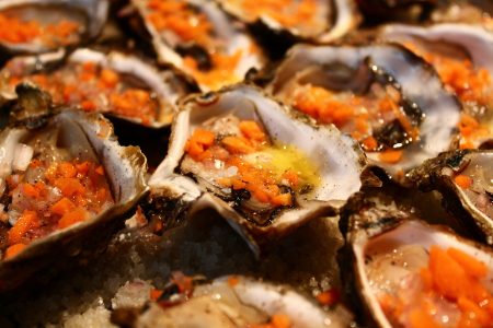 Oysters Seafood Free Stock Photo