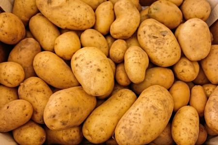 Fresh Potatoes Free Stock Photo