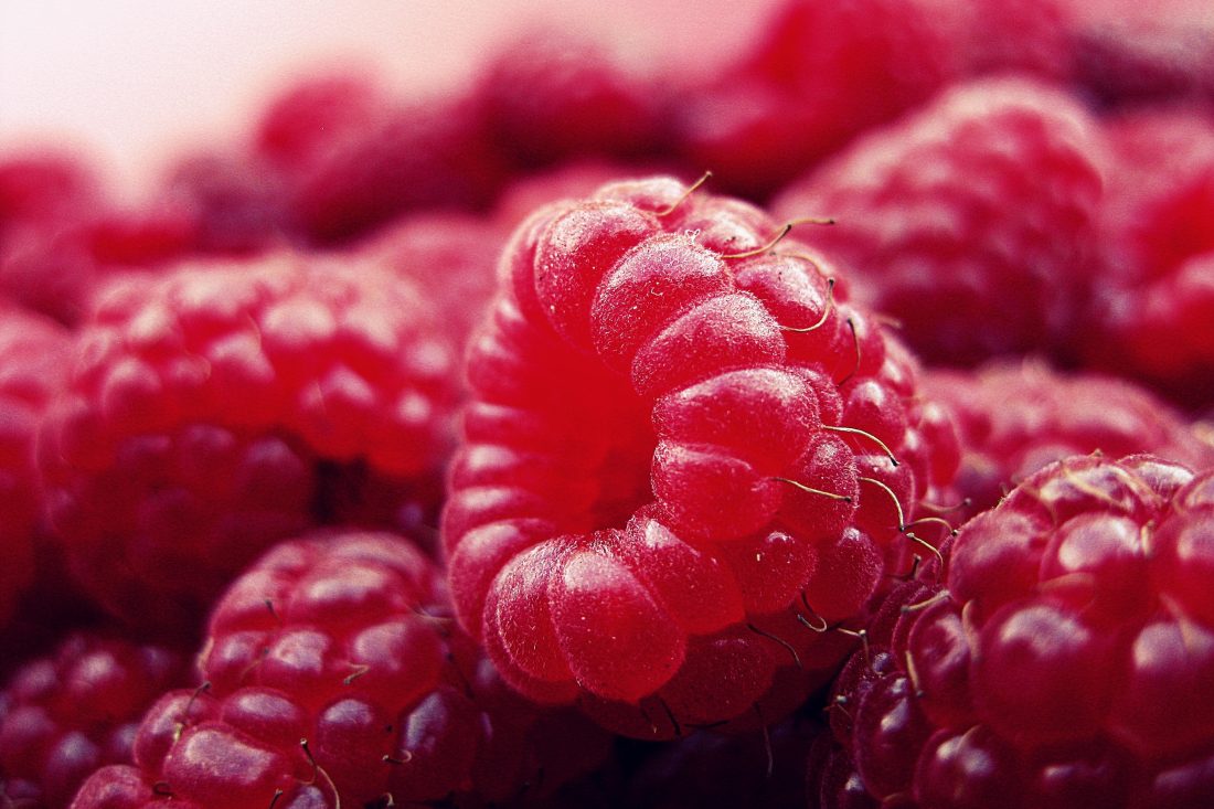 Free photo of Red Raspberries