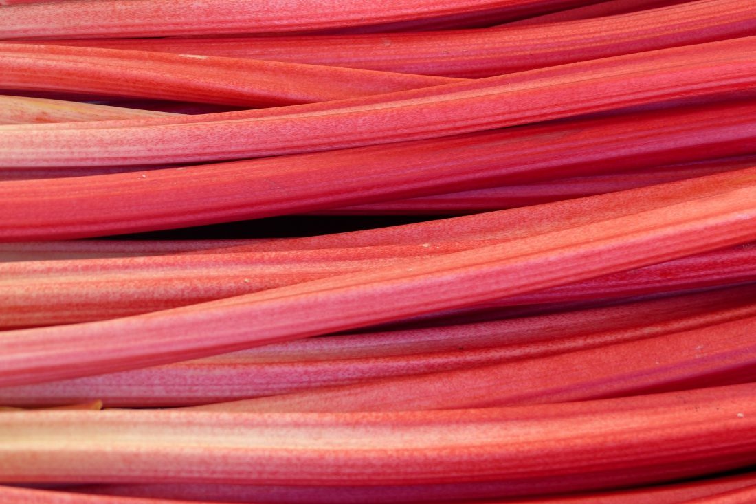 Free photo of Rhubarb Texture