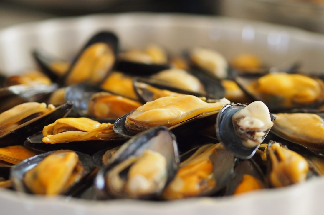 Free photo of Seafood Mussels