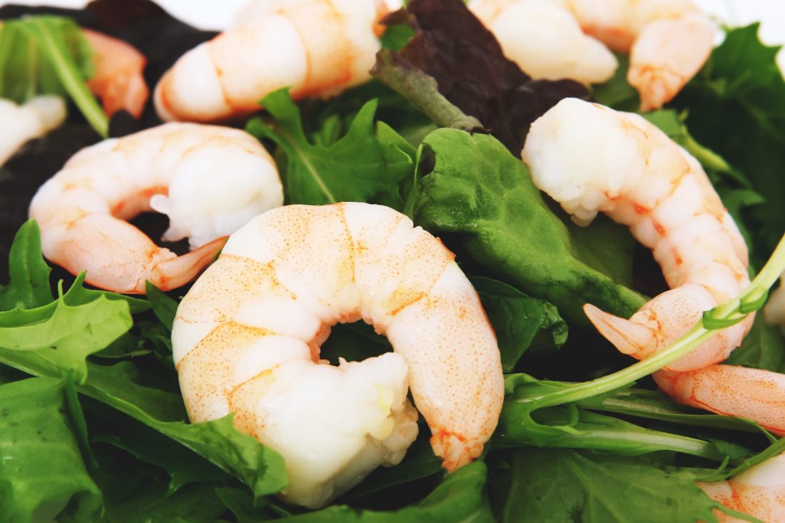 Free photo of Shrimps Salad
