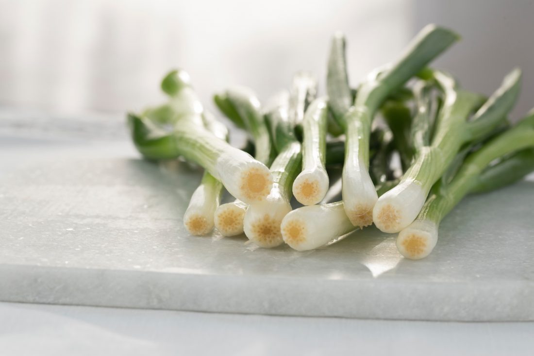 Free photo of Spring Onions