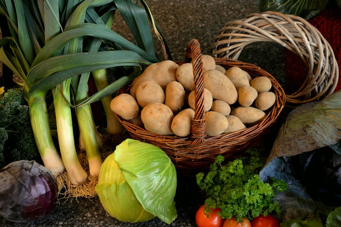 Free photo of Thanksgiving Vegetables