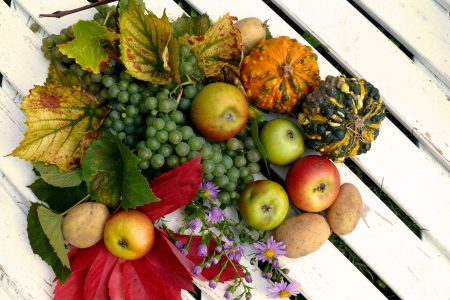 Thanksgiving Harvest Free Stock Photo