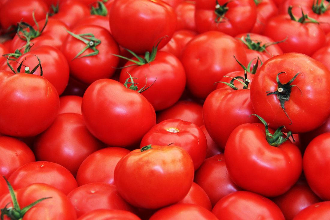 Free photo of Red Tomatoes