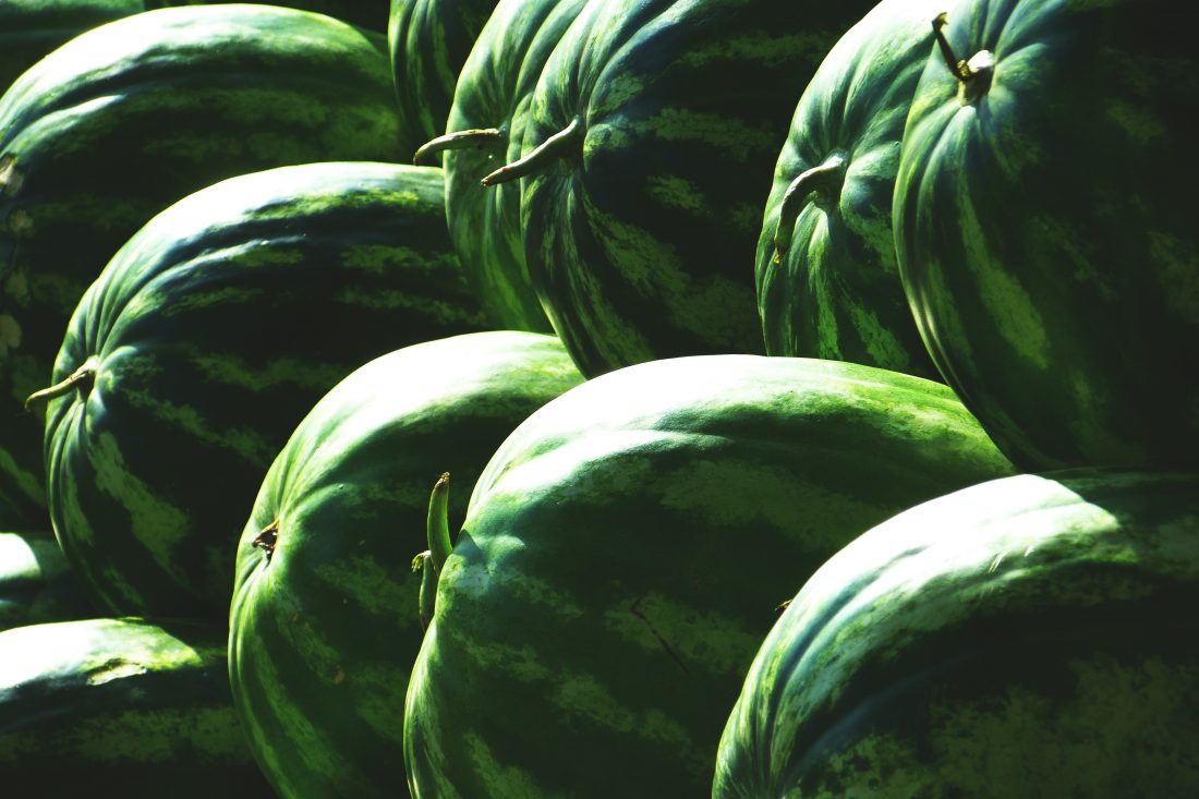 Free photo of Water Melons
