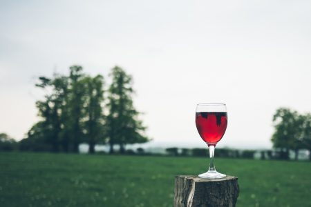 Wine Outdoors Free Stock Photo