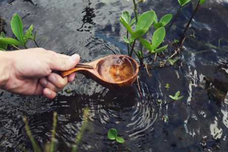 Wooden Spoon in Water Free Stock Photo