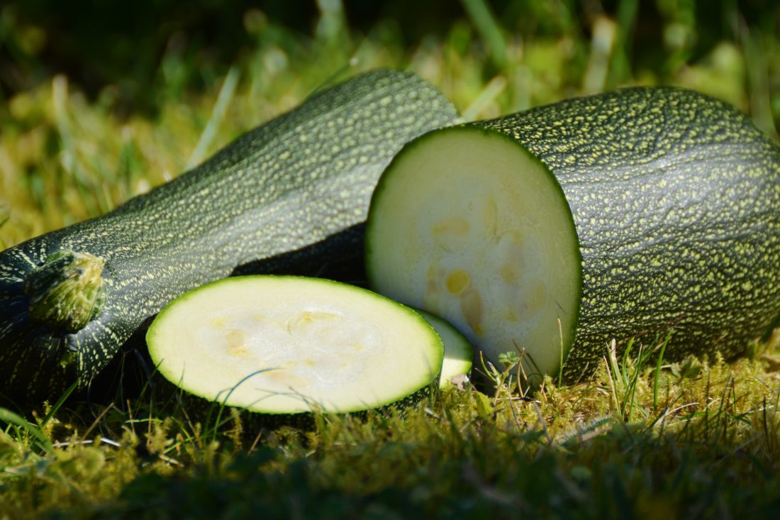 Free photo of Zucchini Vegetables