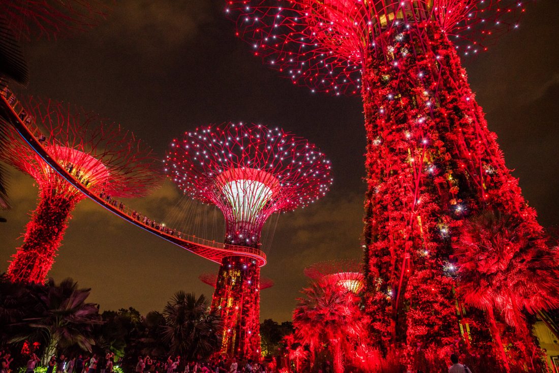 Free photo of Singapore Garden Lights