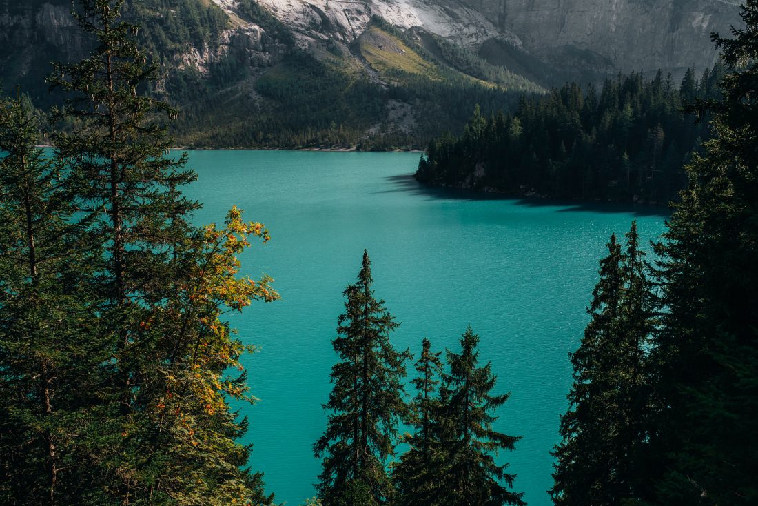 Free photo of Winter Lake, Mountains & Forest