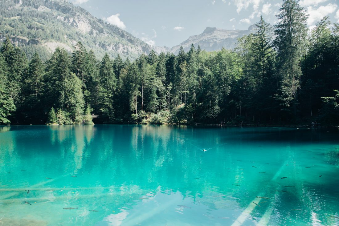 Free photo of Mountain Lake & Clear Water