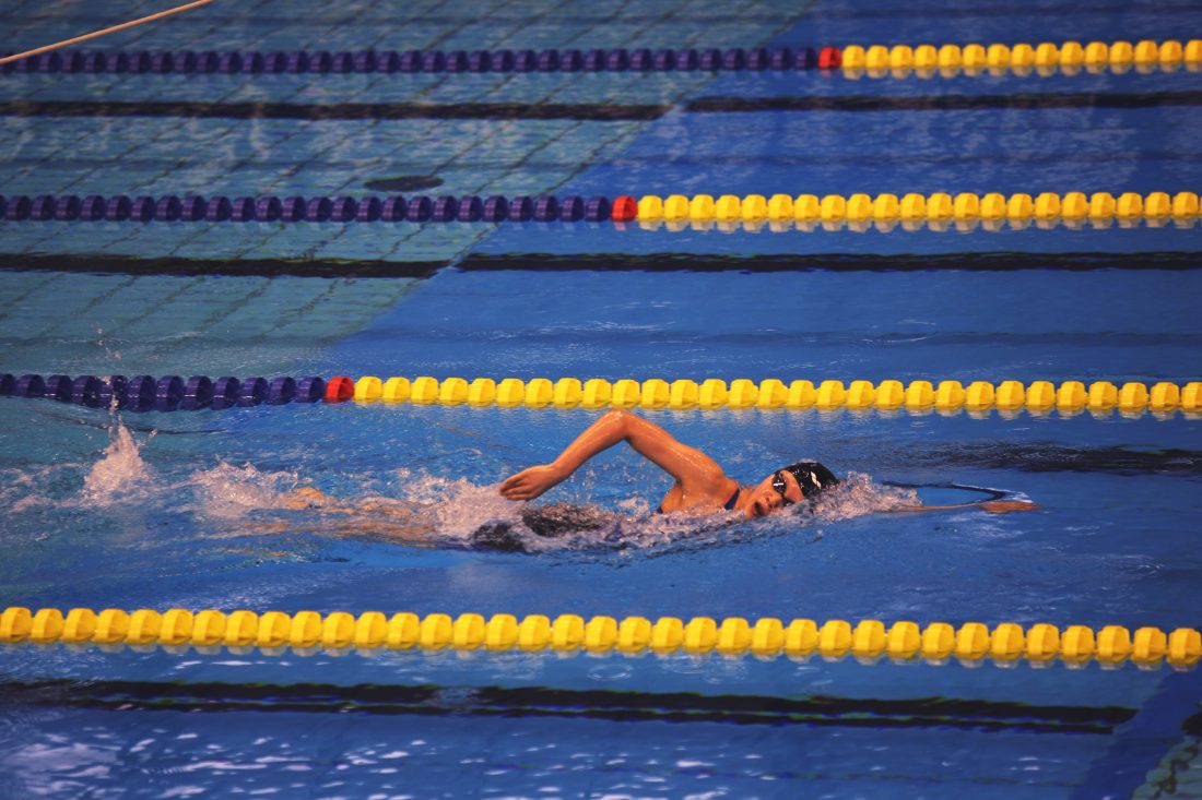 Free photo of Swimming Race