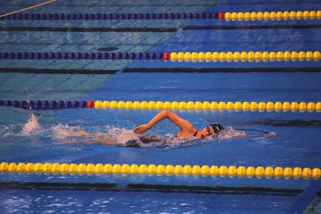Swimming Race Free Stock Photo