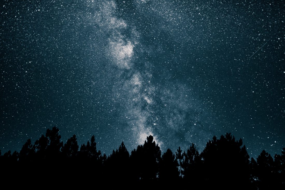Free photo of Stars Over Forest