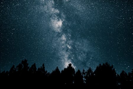 Stars Over Forest Free Stock Photo