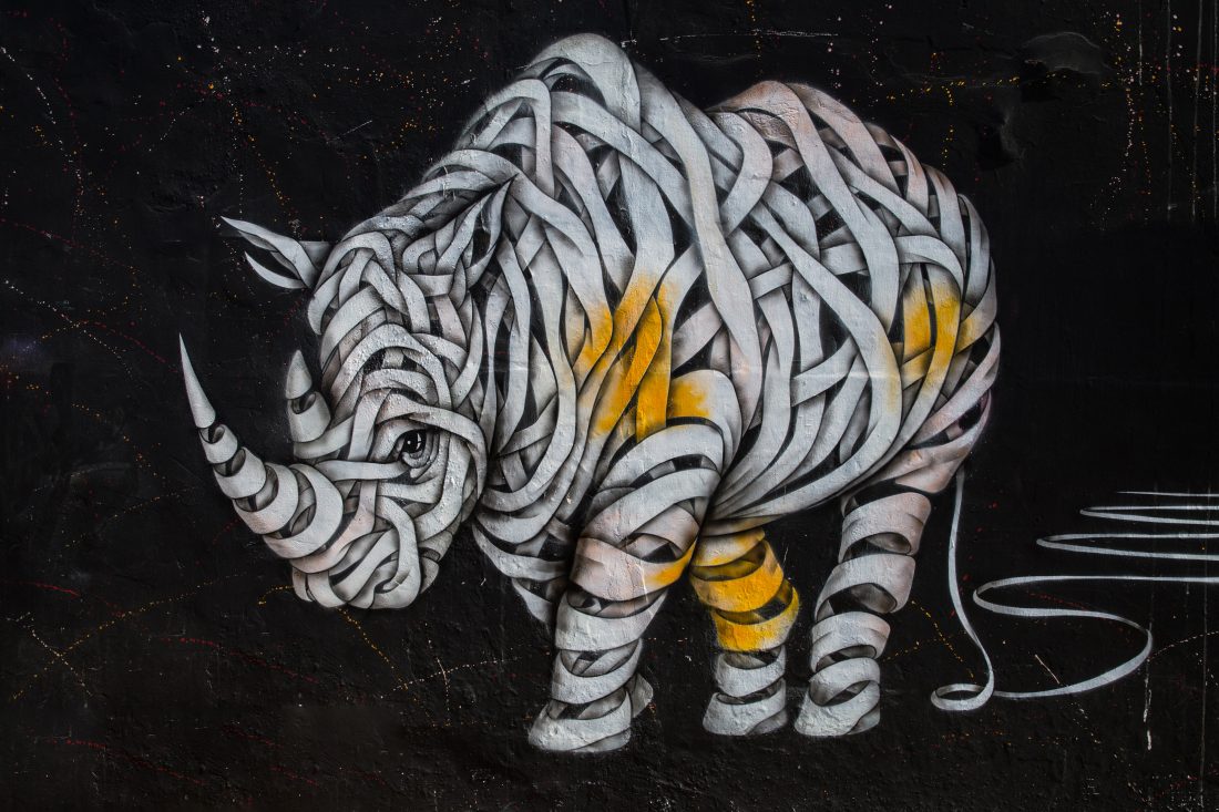 Free photo of Street Art Rhino