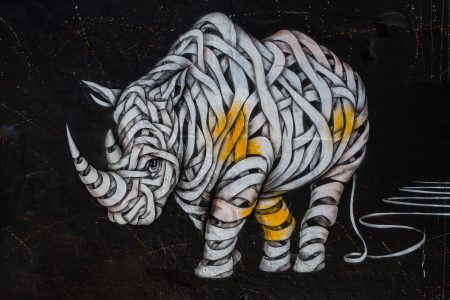 Street Art Rhino Free Stock Photo