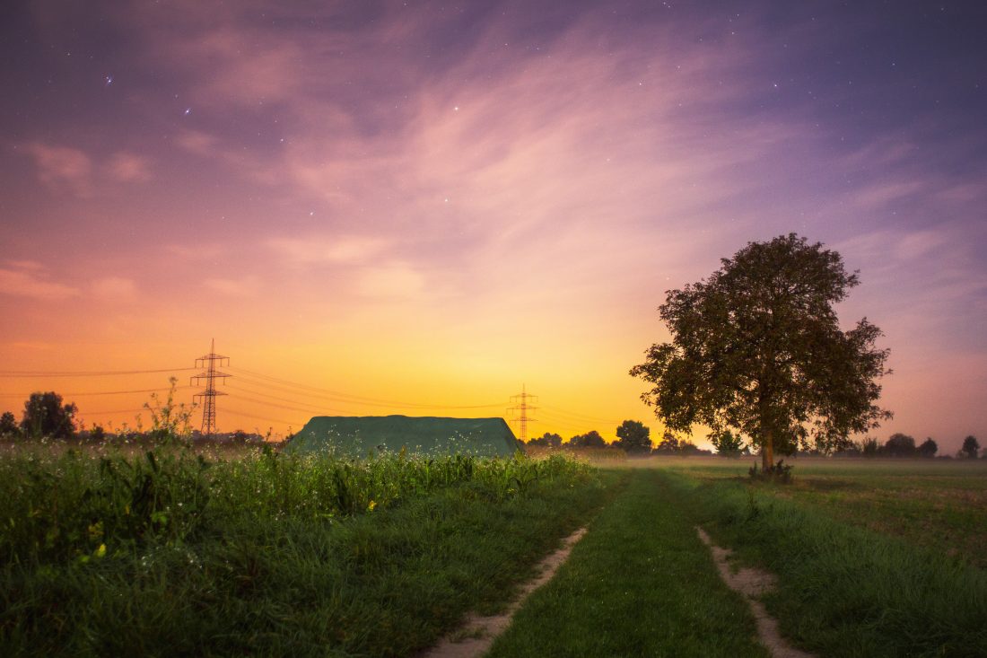 Free photo of Summer Field at Sunset