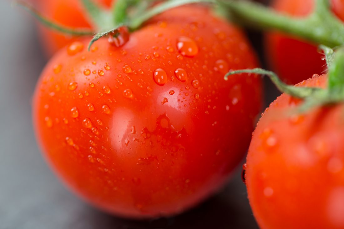 Free photo of Tomatoes