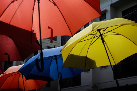 Color Umbrellas Free Stock Photo