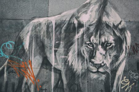 Urban Lion Free Stock Photo