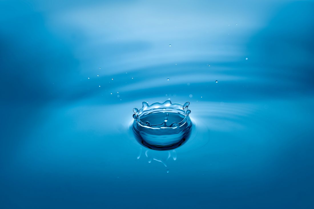Free photo of Water Droplet