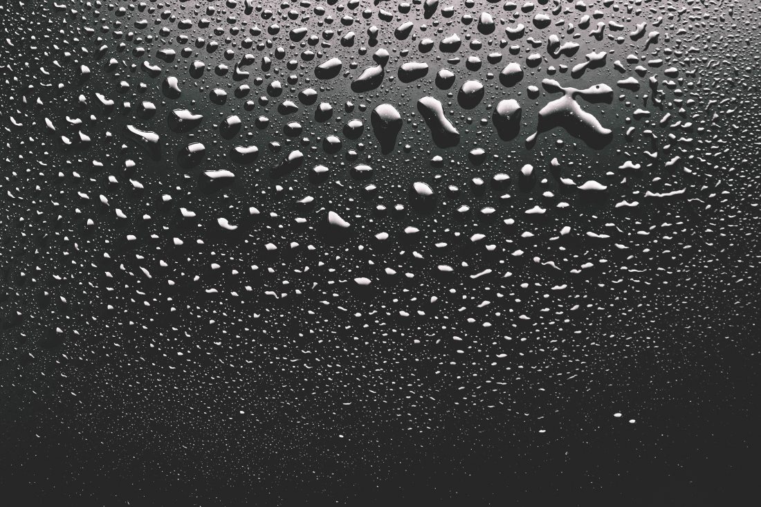 Free photo of Water Droplets