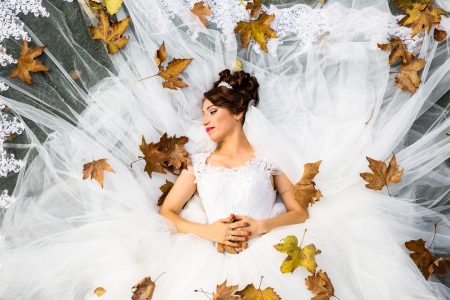 Wedding Dress & Bride Free Stock Photo