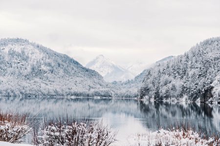 Winter Landscape Free Stock Photo