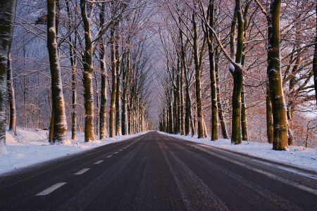 Winter Road Free Stock Photo