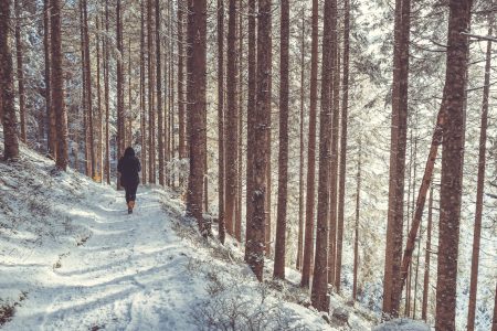 Woman Walking in Winter Free Stock Photo