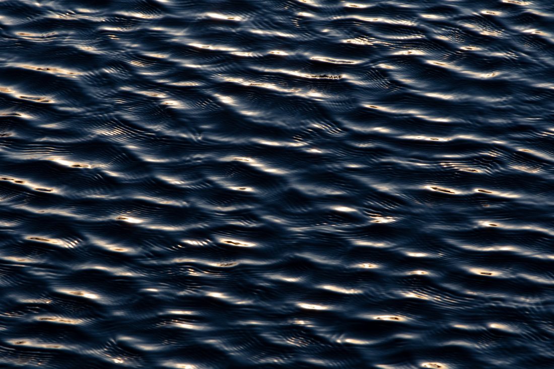 Free photo of Surface Water Waves