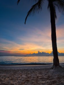 Tropical Beach Sunset Free Stock Photo