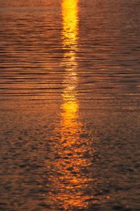 Sunset Water Reflection Free Stock Photo