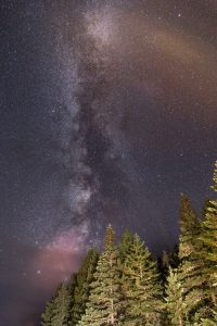 Milky Way Forest Free Stock Photo
