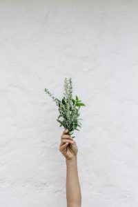 Hand Bouquet Free Stock Photo