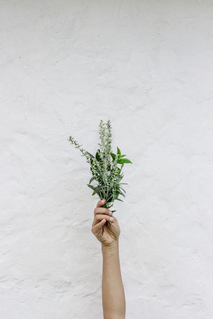Free photo of Hand Bouquet