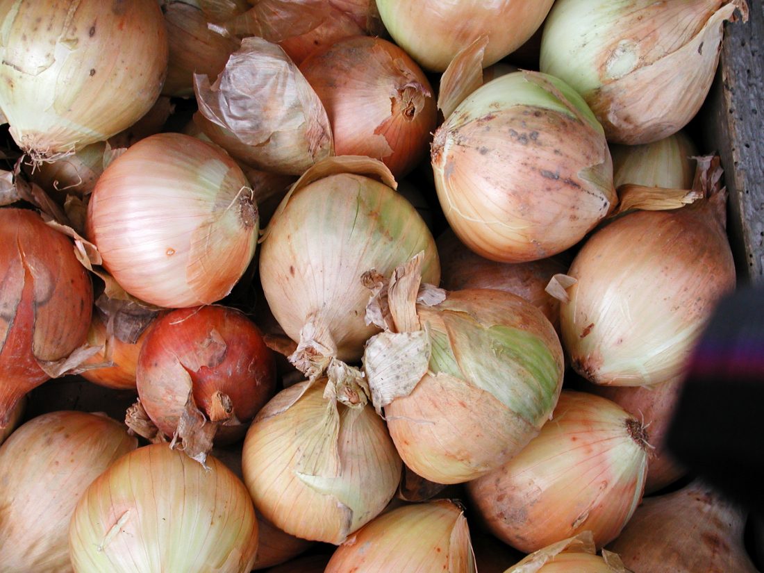Free photo of Onions Farmers Market